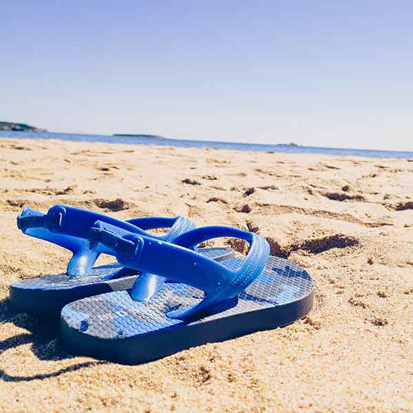 Royal Caribbean International Deployment 2018/2019